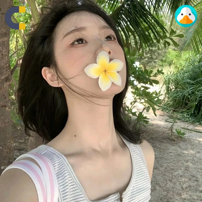 阿诚